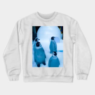 Igloo with a group of penguin sculptures Crewneck Sweatshirt